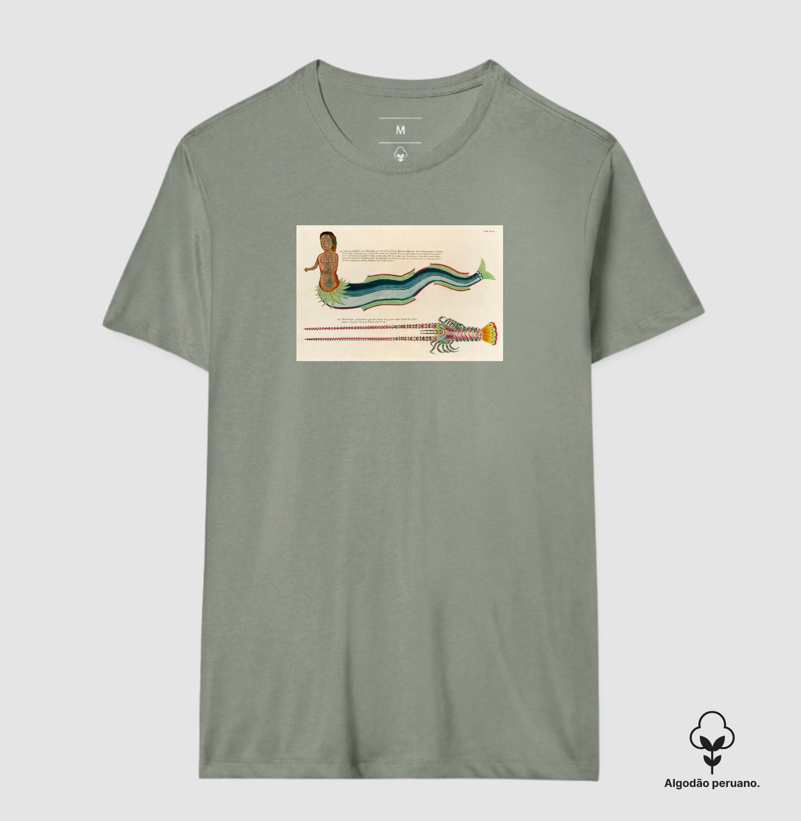 Camisa 8