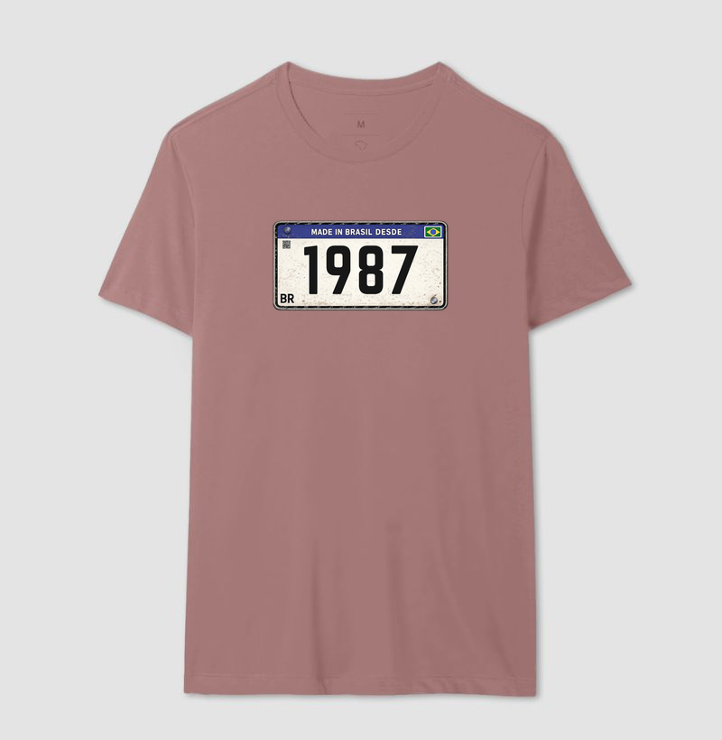 Placa 1987 - Imagem 10