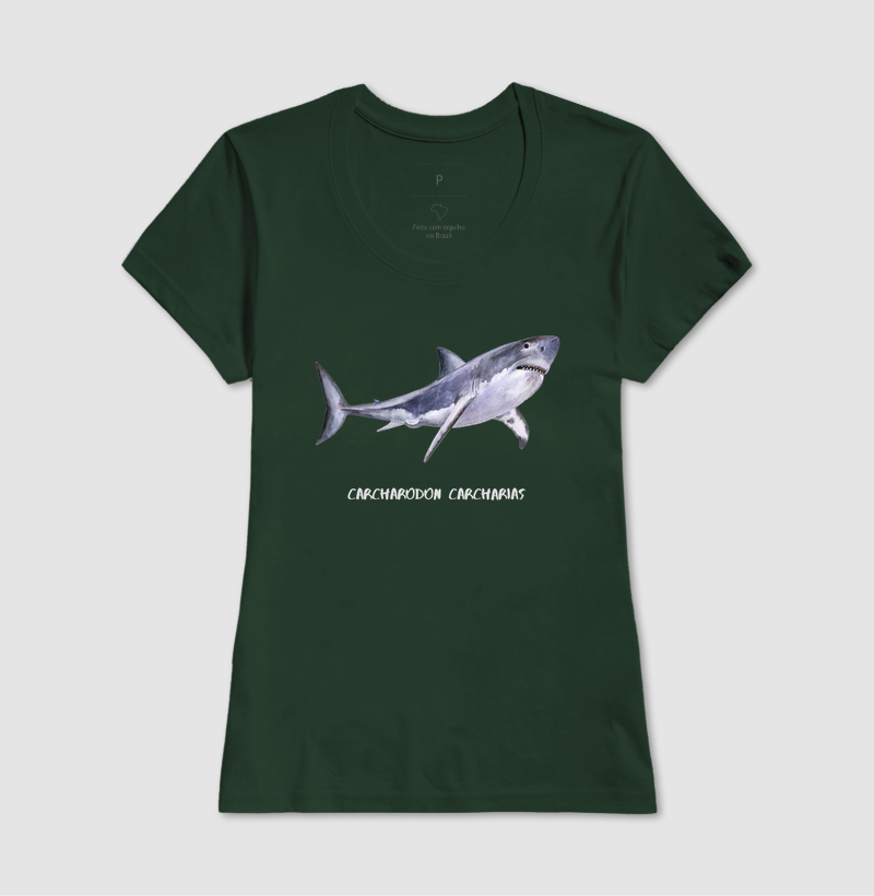Carcharodon carcharias - Imagem 15