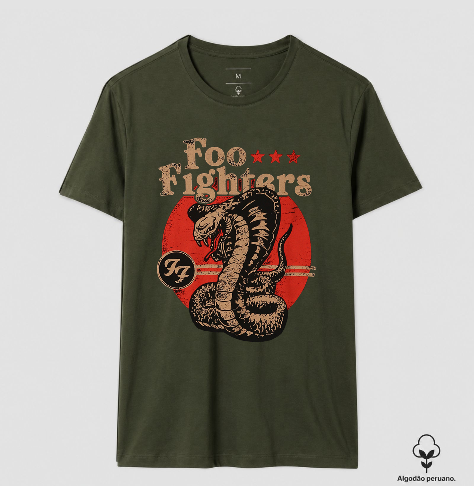 Foo Fighters - Serpente - Imagem 7