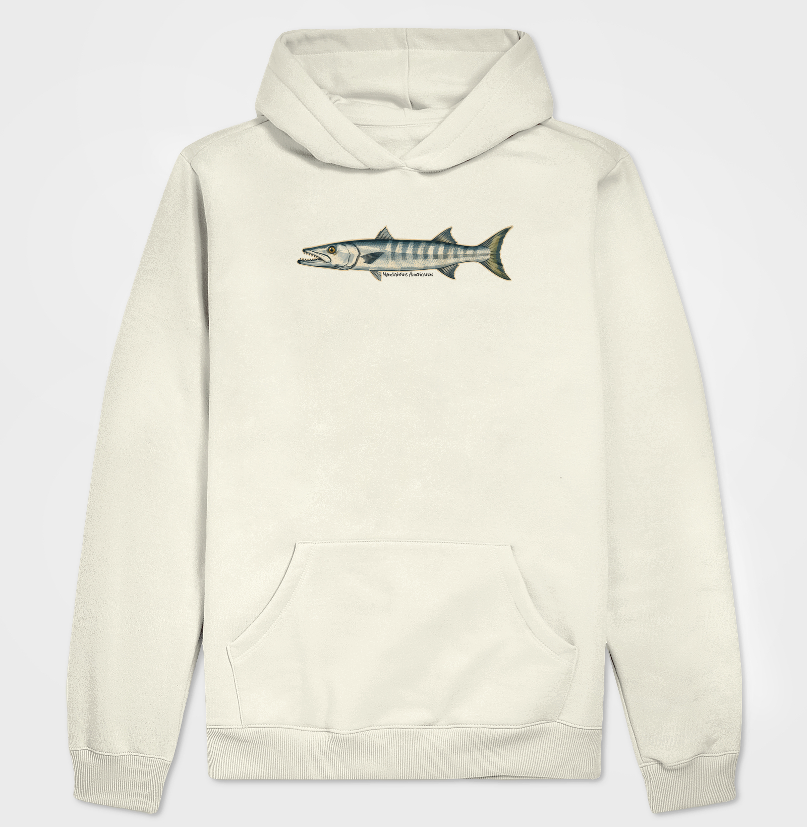 Barracuda - Imagem 3