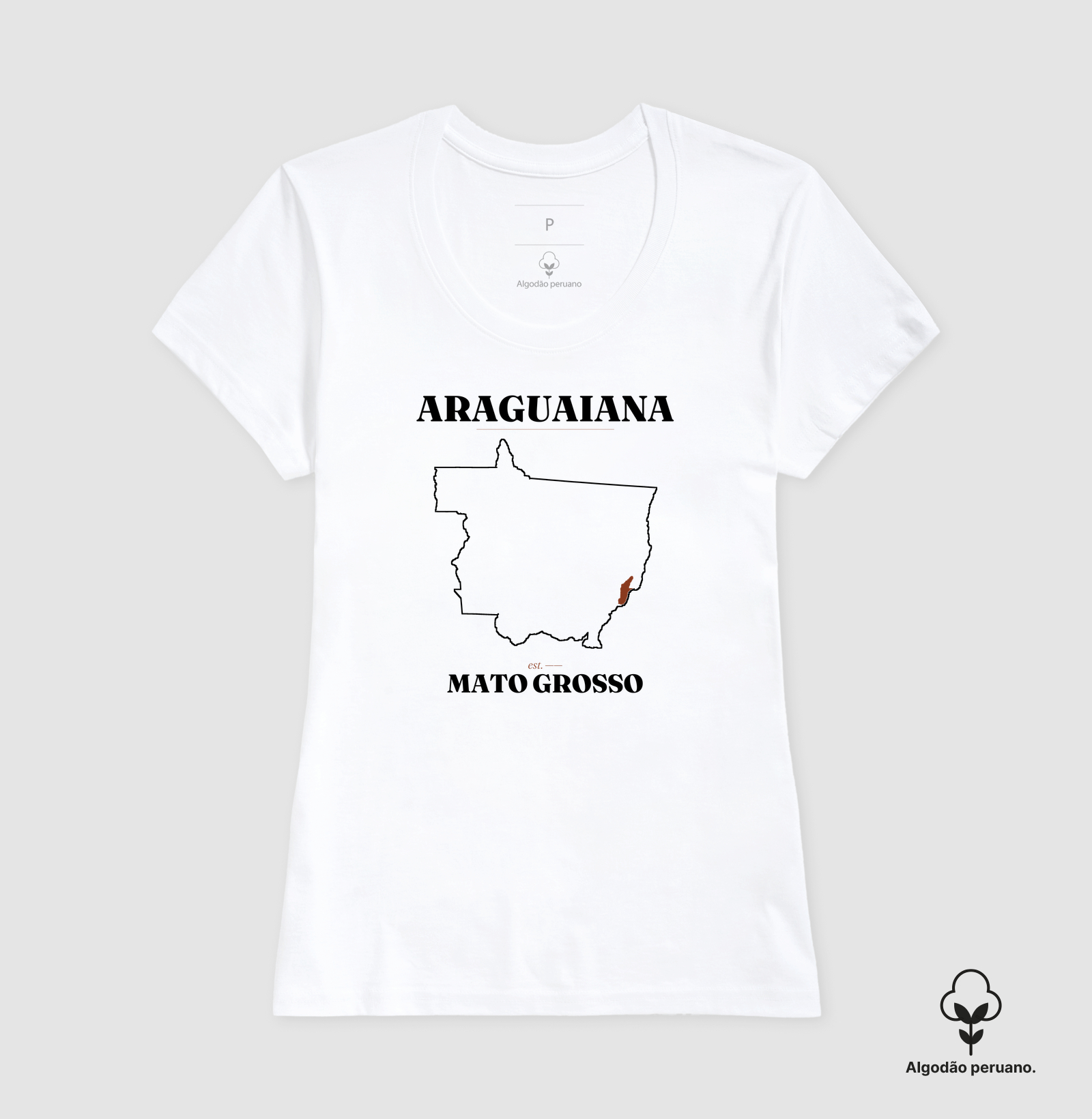 Araguaiana | Legado MT - Imagem 7