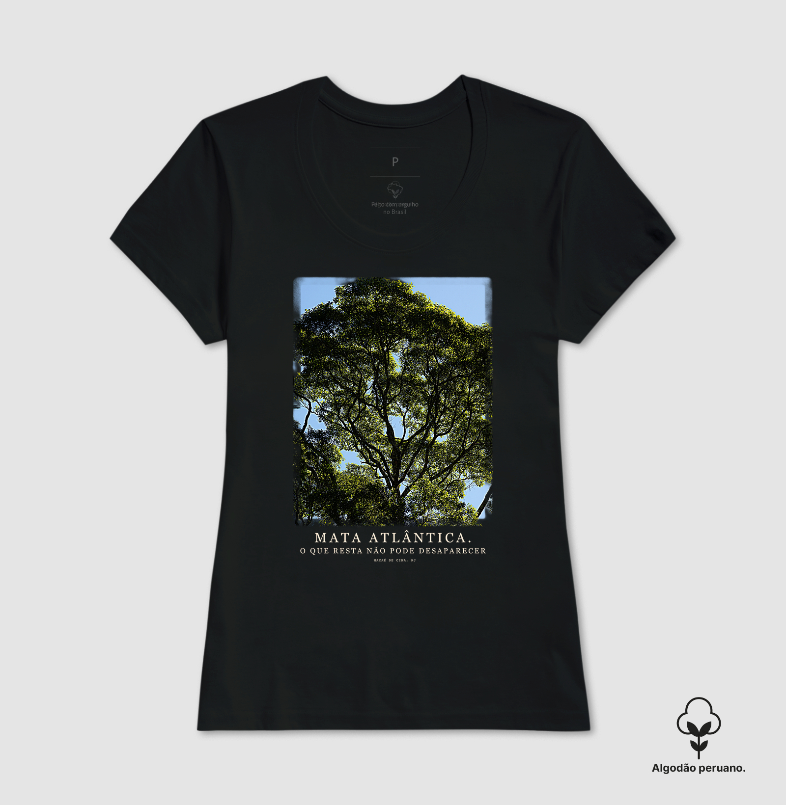 Mata Atlântica - Imagem 6