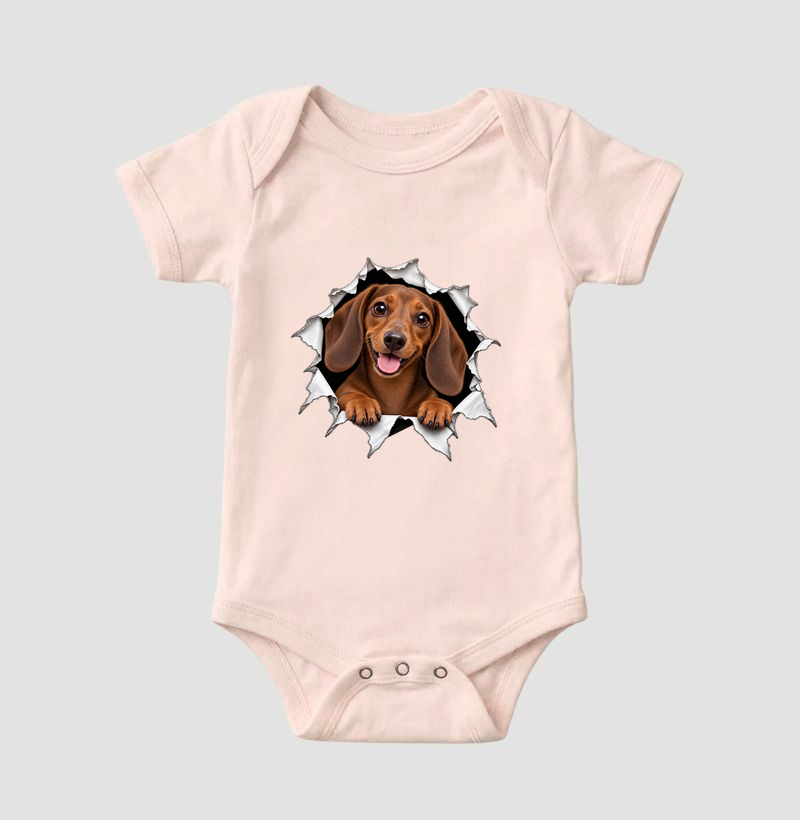 Dachshund Saindo Pelo Rasgo - Imagem 5