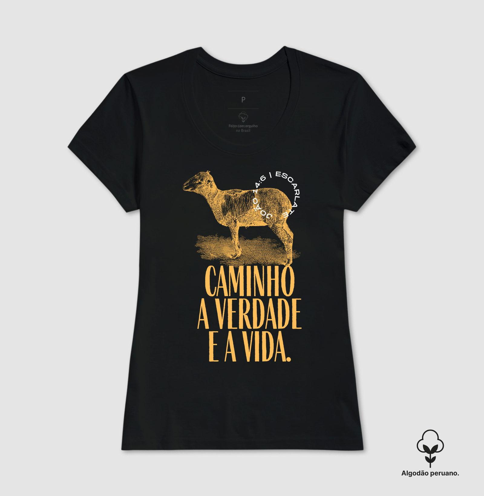 Camisa 6