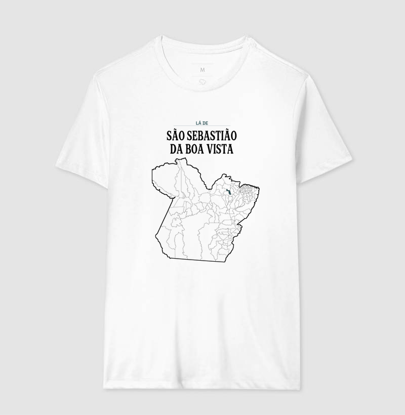 São Sebastião da Boa Vista | Território PA - Imagem 4