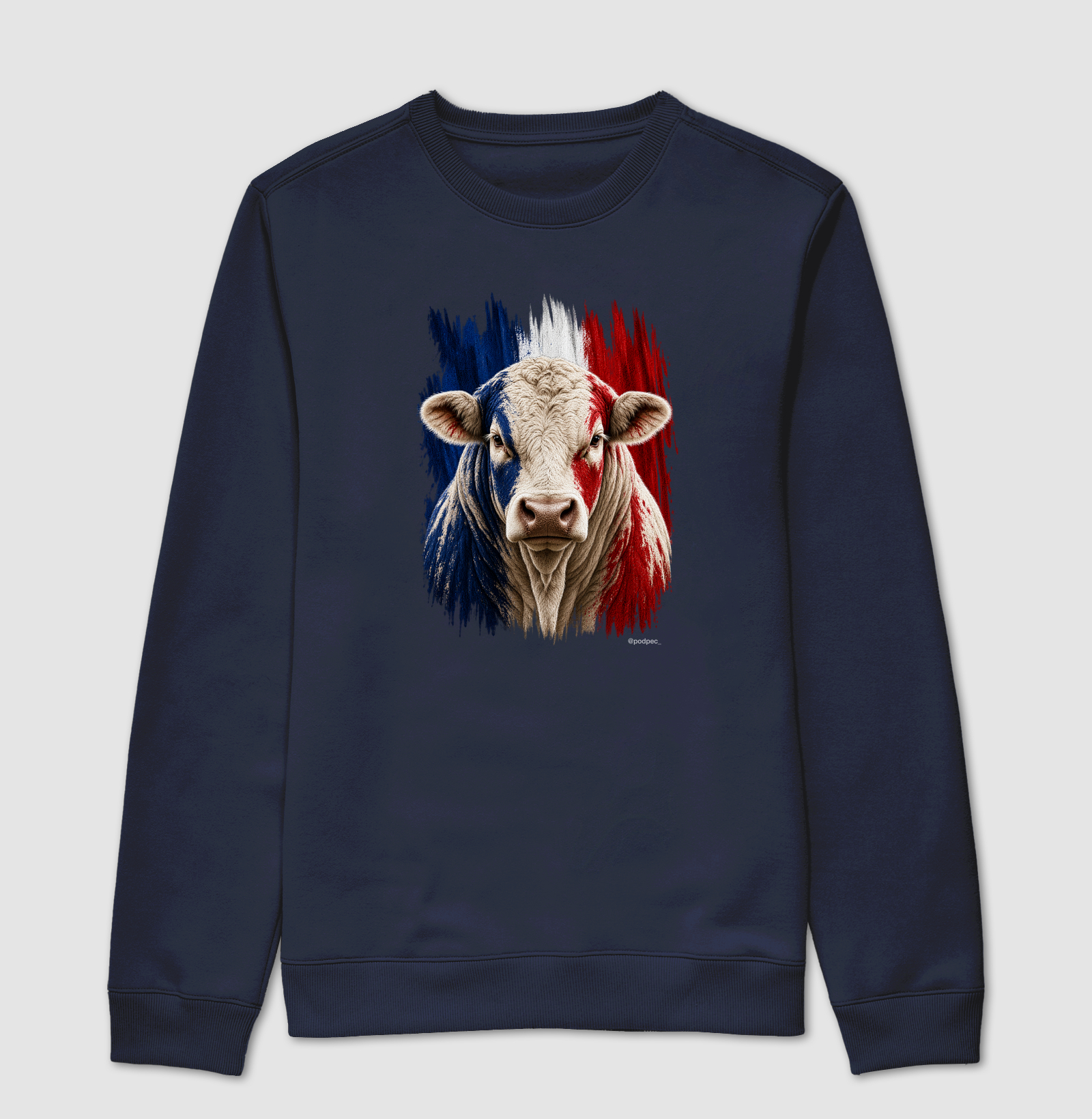 Charolês da França - Imagem 5