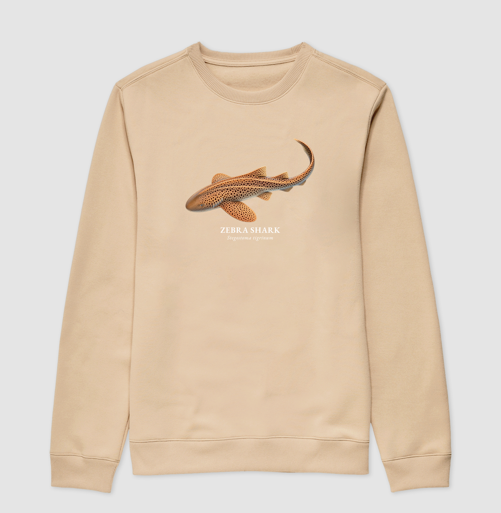 Zebra Shark - Imagem 3
