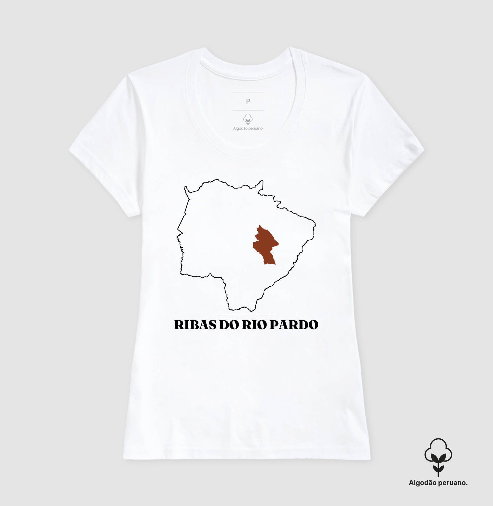 Ribas do Rio Pardo | Traço MS - Imagem 6