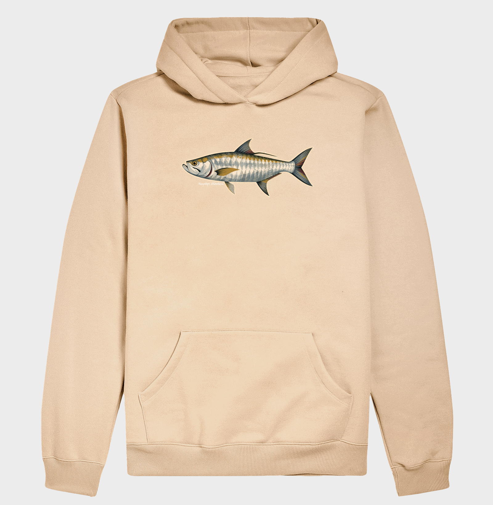 Tarpon ⚡ - Imagem 5