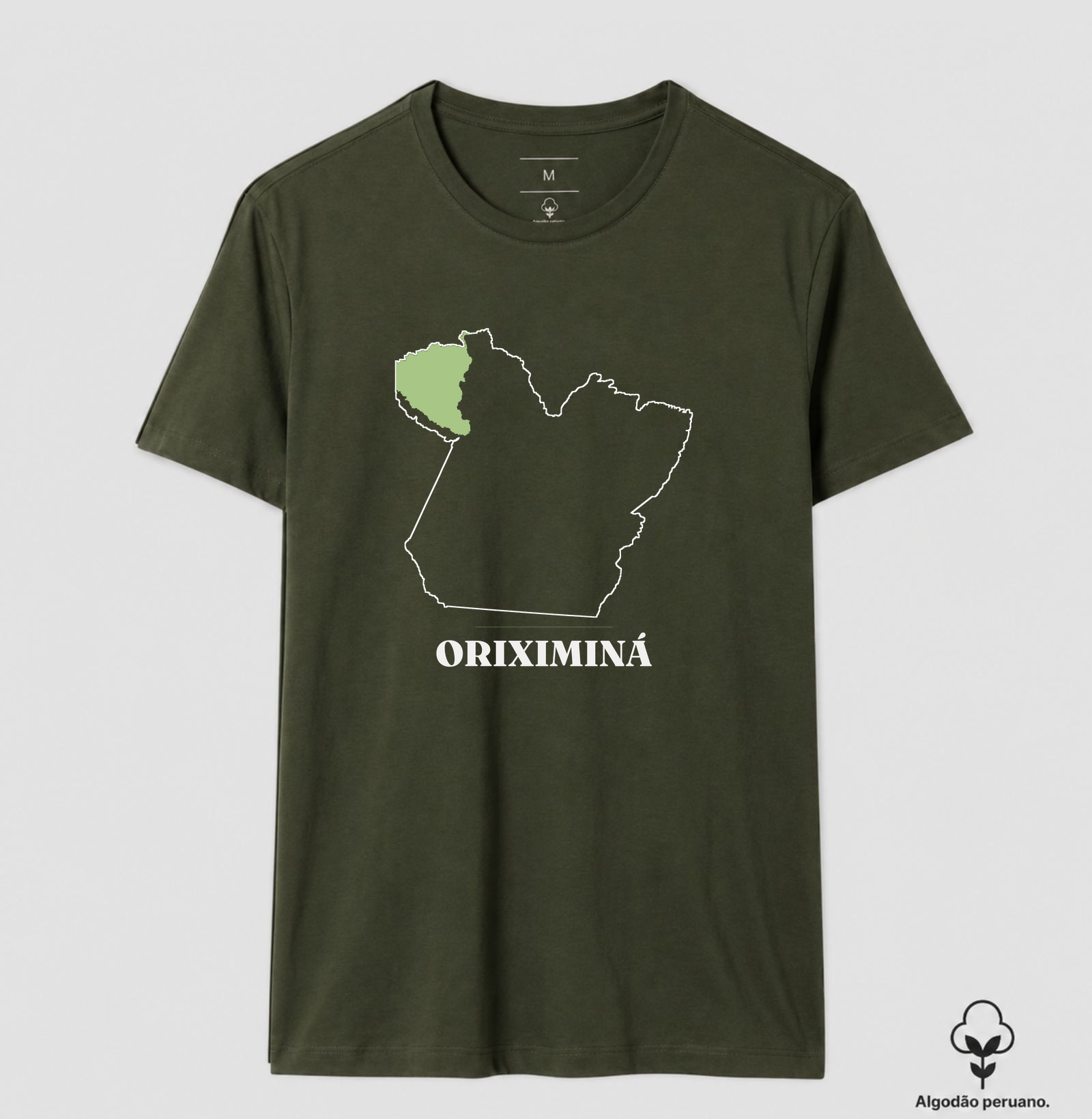 Oriximiná | Traço PA - Imagem 2