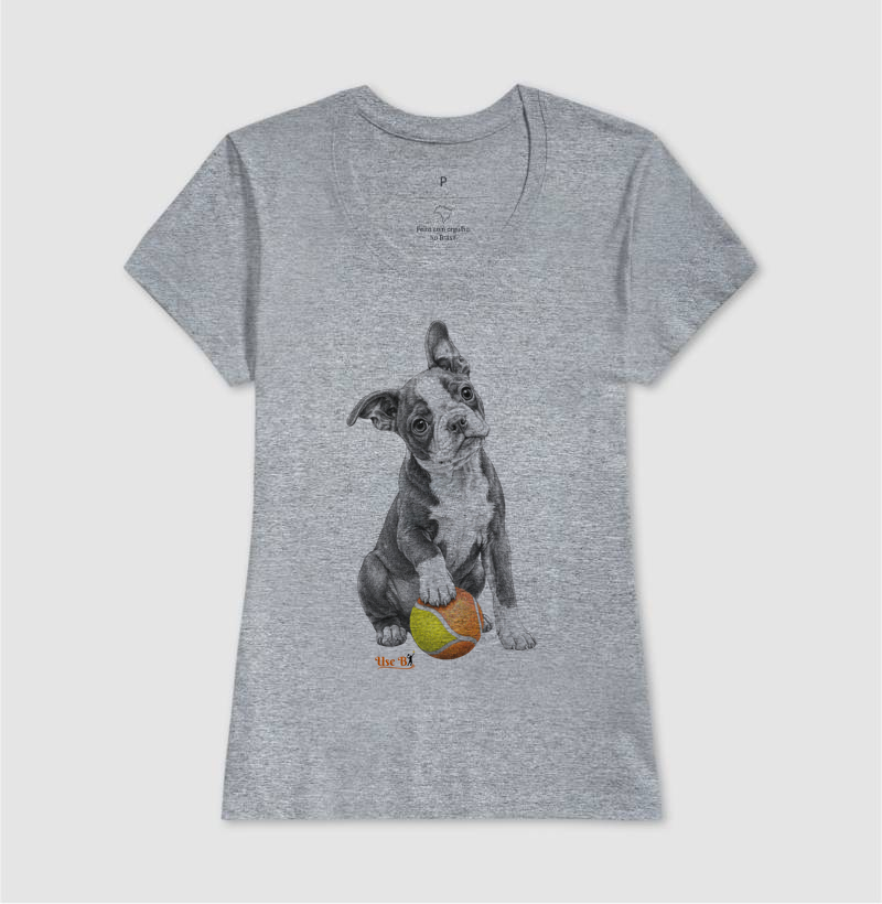 Boston Terrier do Beach - Imagem 9