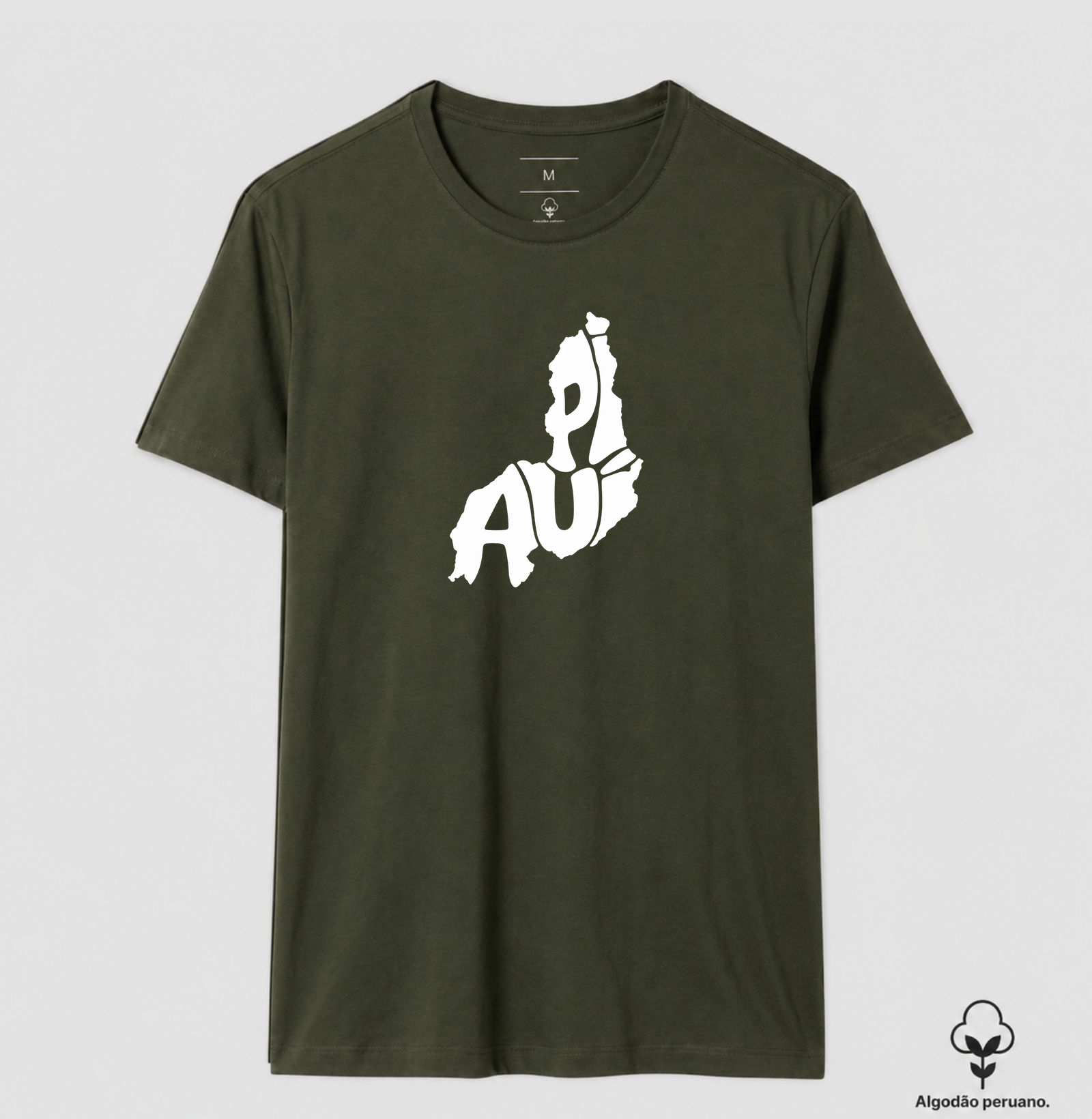 Piauí | Nome - Imagem 5