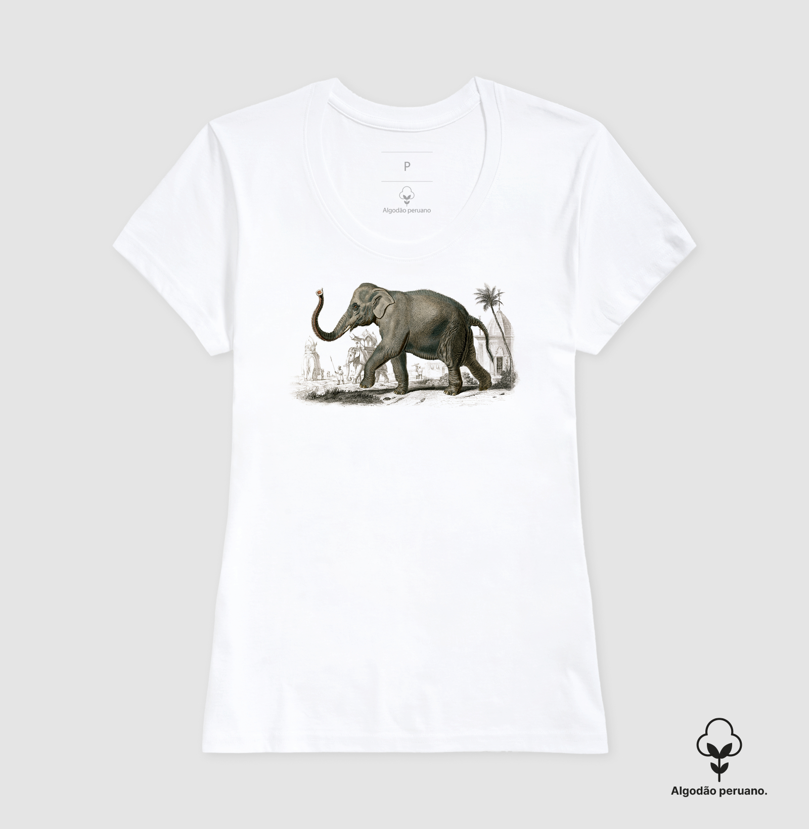 Elefante-asiático - Imagem 3