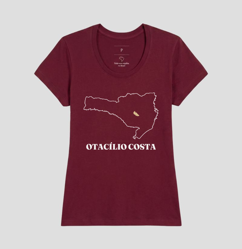 Otacílio Costa | Traço SC - Imagem 19