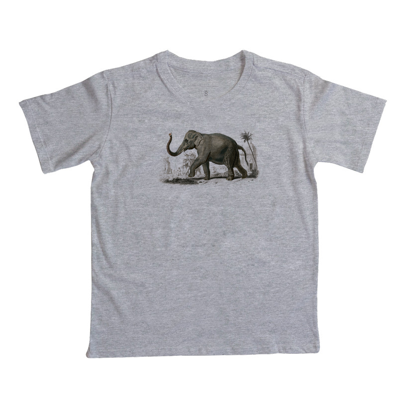Elefante-asiático - Imagem 3