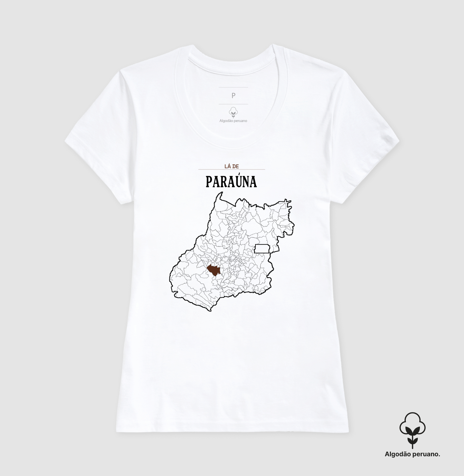 Paraúna | Território GO - Imagem 3