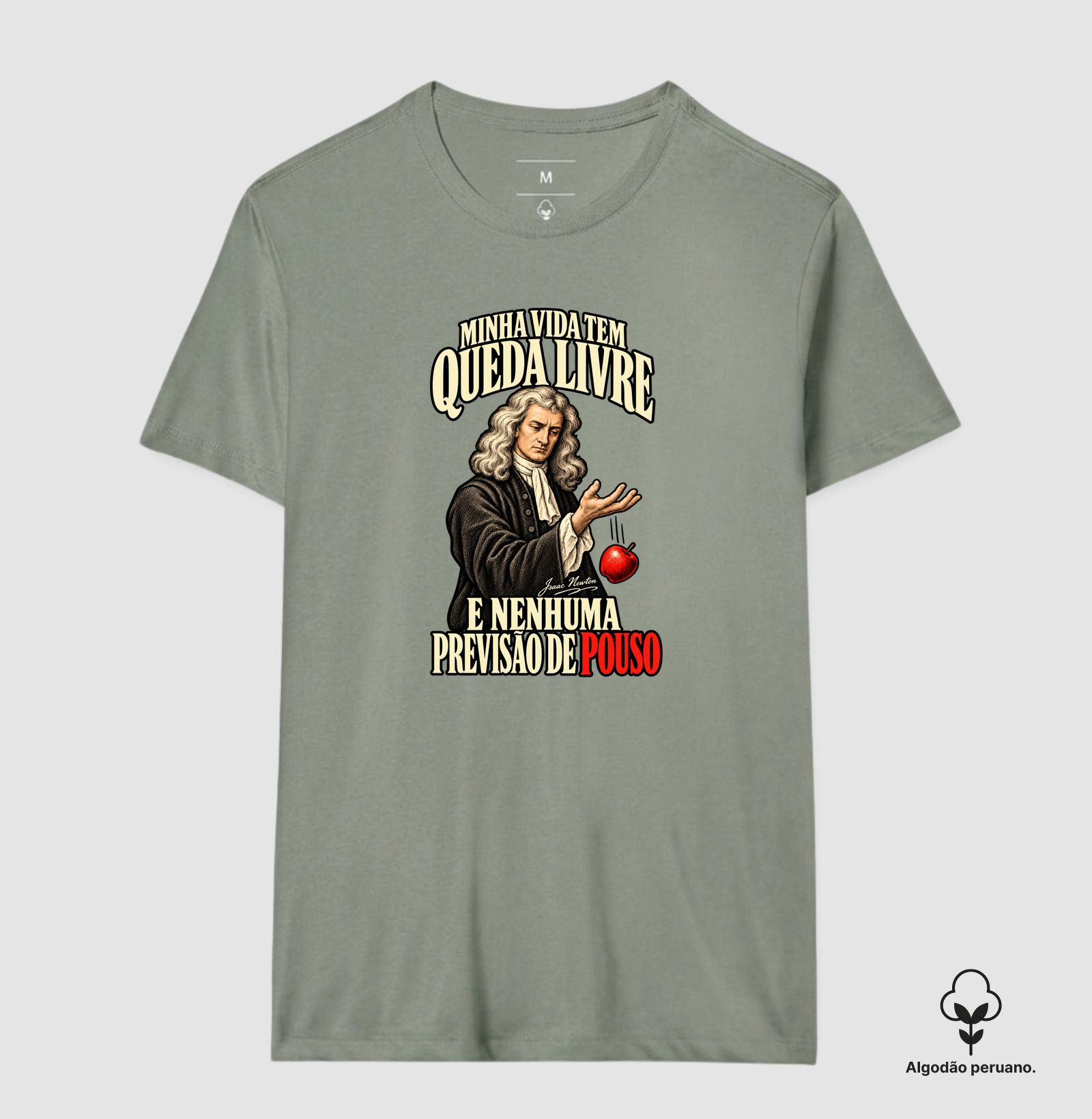 Vida tem Queda Livre - Isaac Newton - Imagem 9