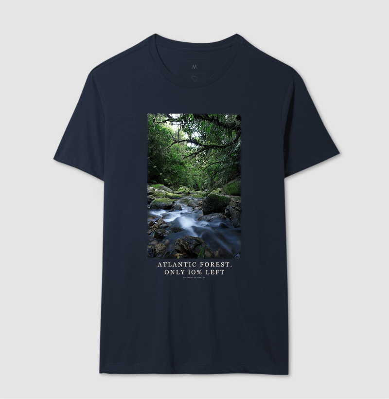 Atlantic Forest - Imagem 4