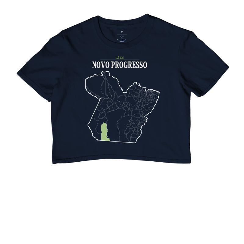 Novo Progresso | Território PA - Imagem 4