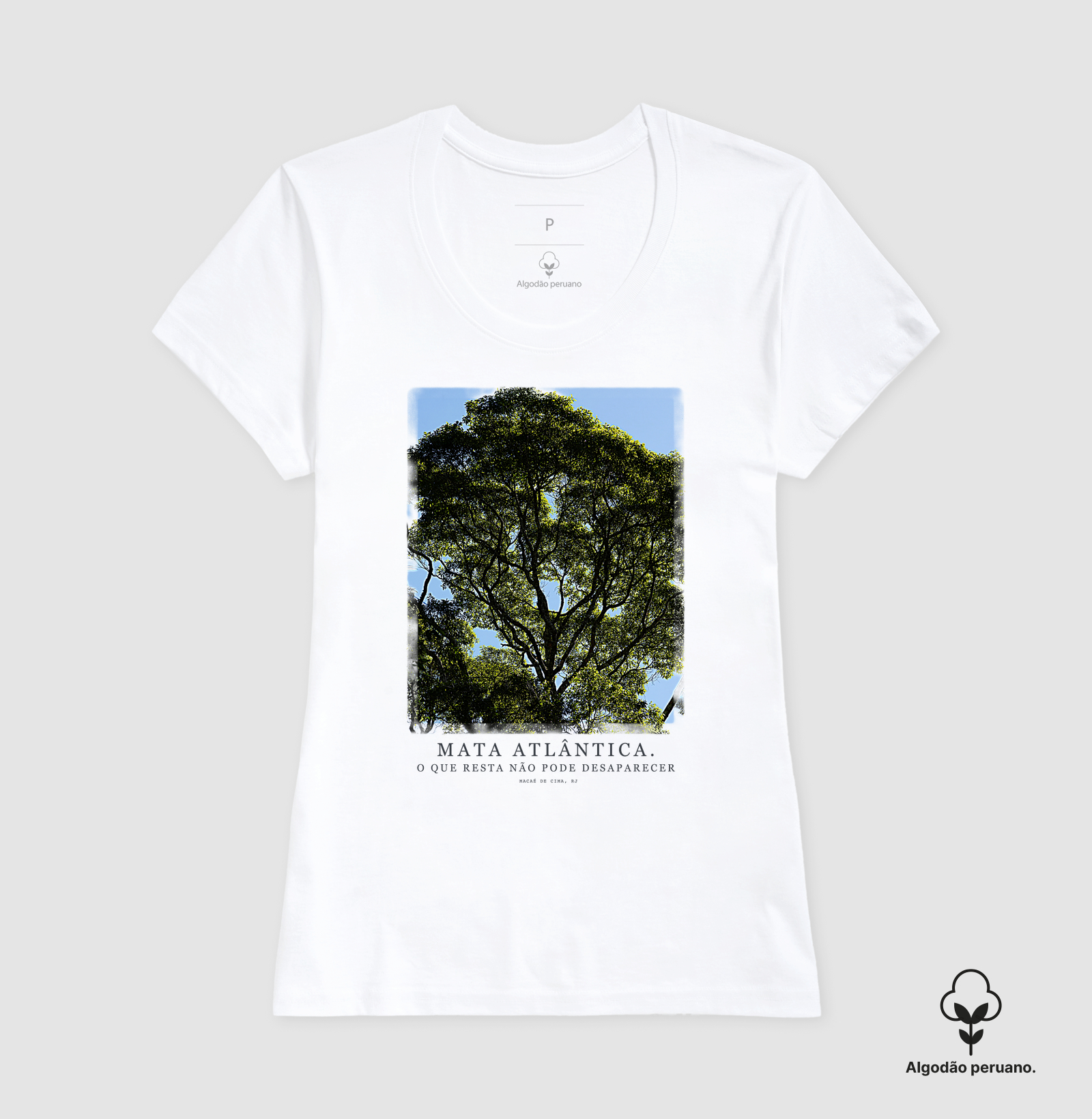 Mata Atlântica - Imagem 3
