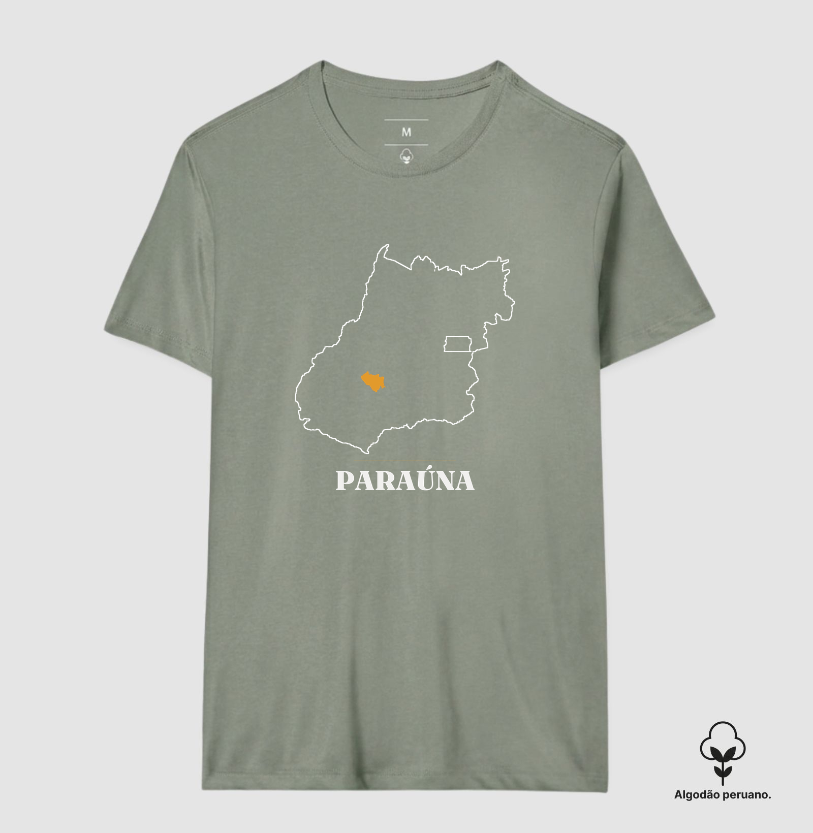 Paraúna | Traço GO - Imagem 9