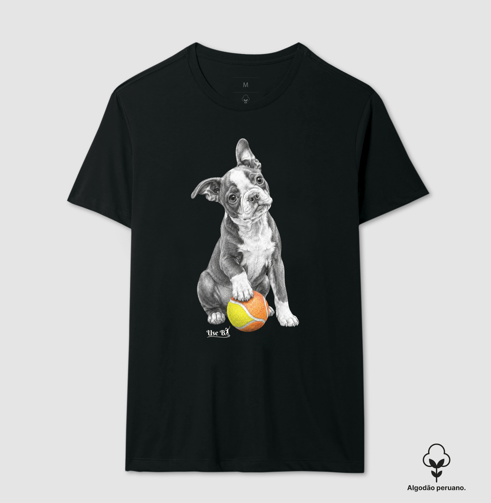 Boston Terrier do Beach - Imagem 7