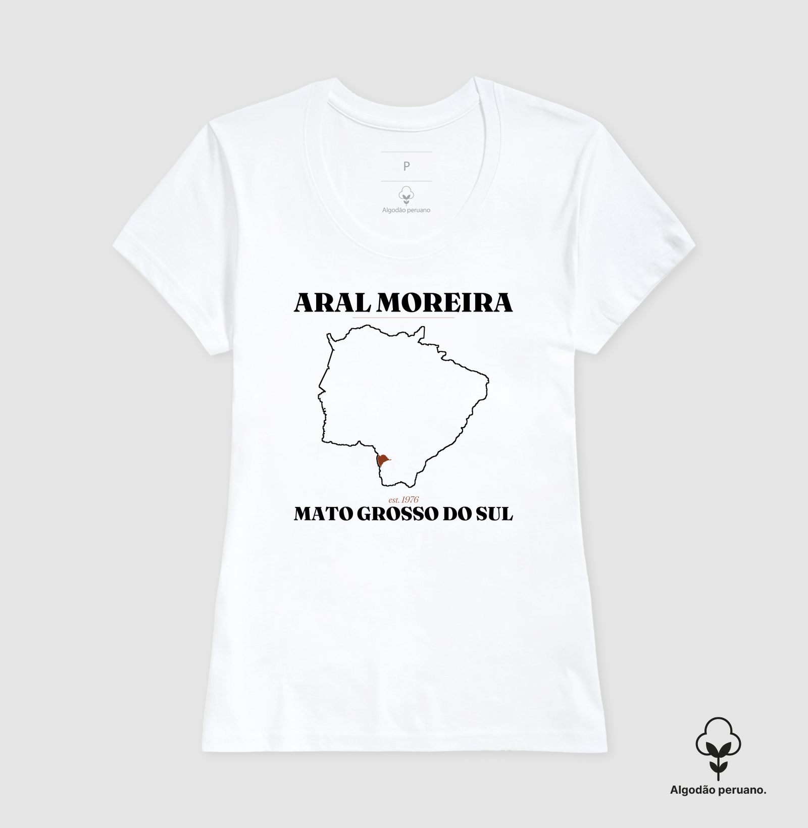 Aral Moreira | Legado MS - Imagem 6