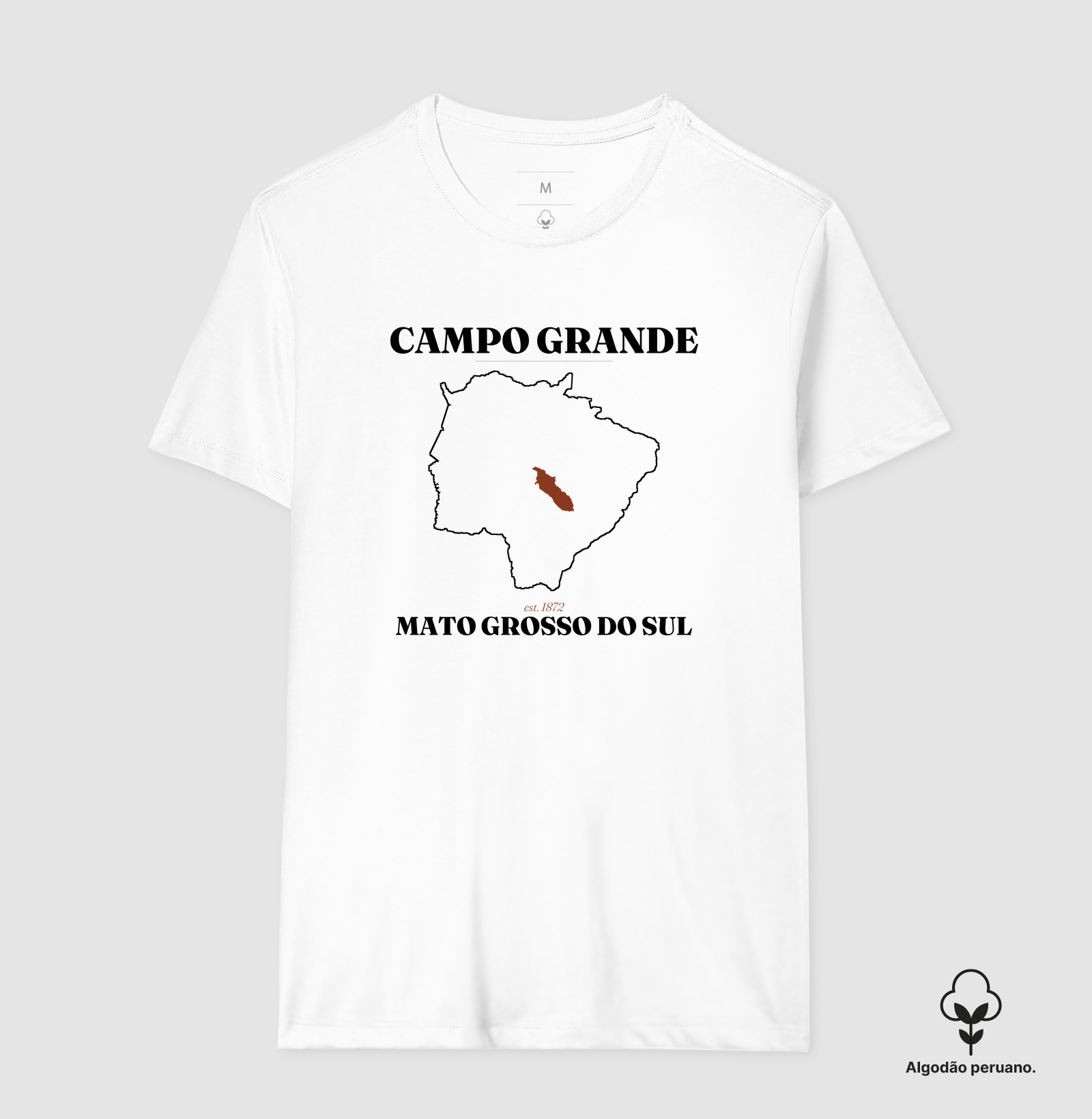 Campo Grande | Legado MS - Imagem 4