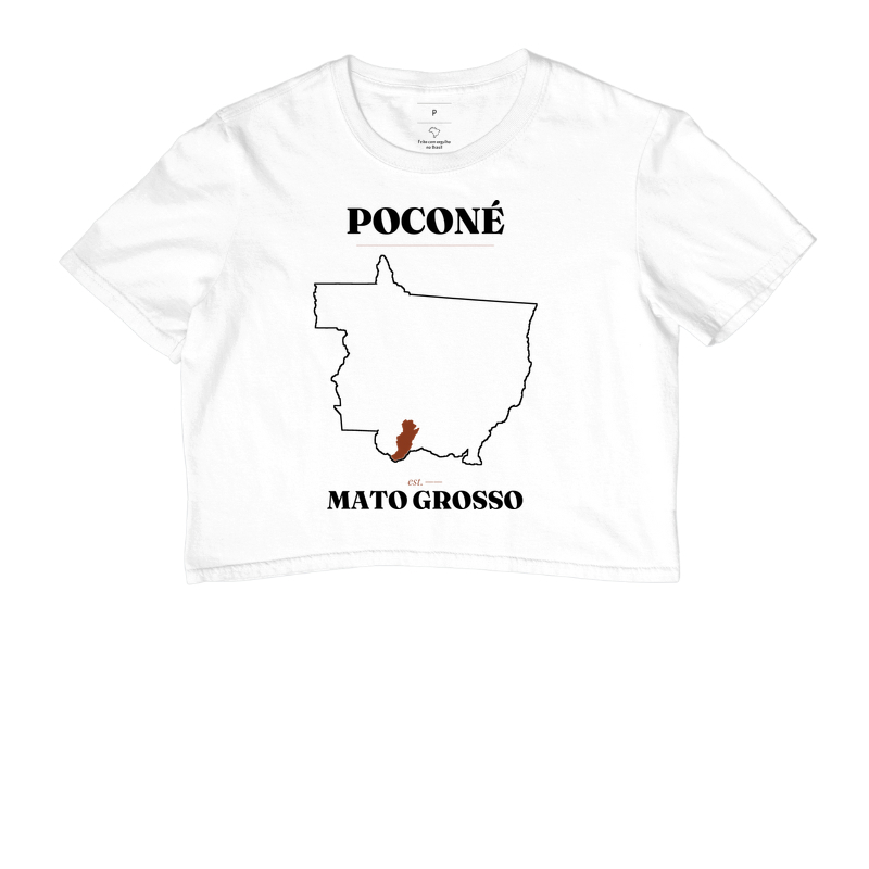 Poconé | Legado MT - Imagem 3