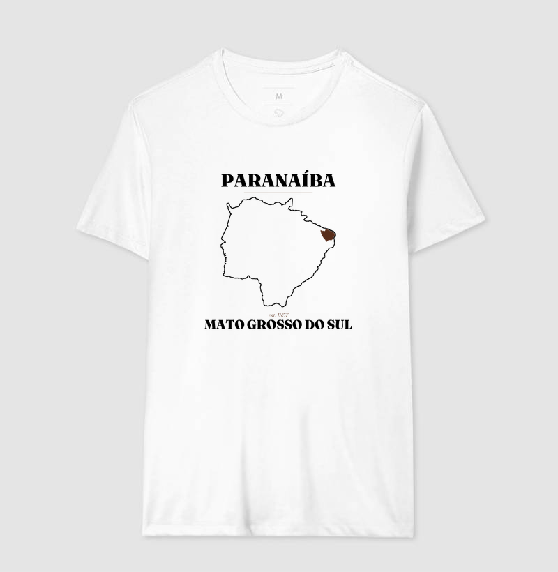 Paranaíba | Legado MS - Imagem 4