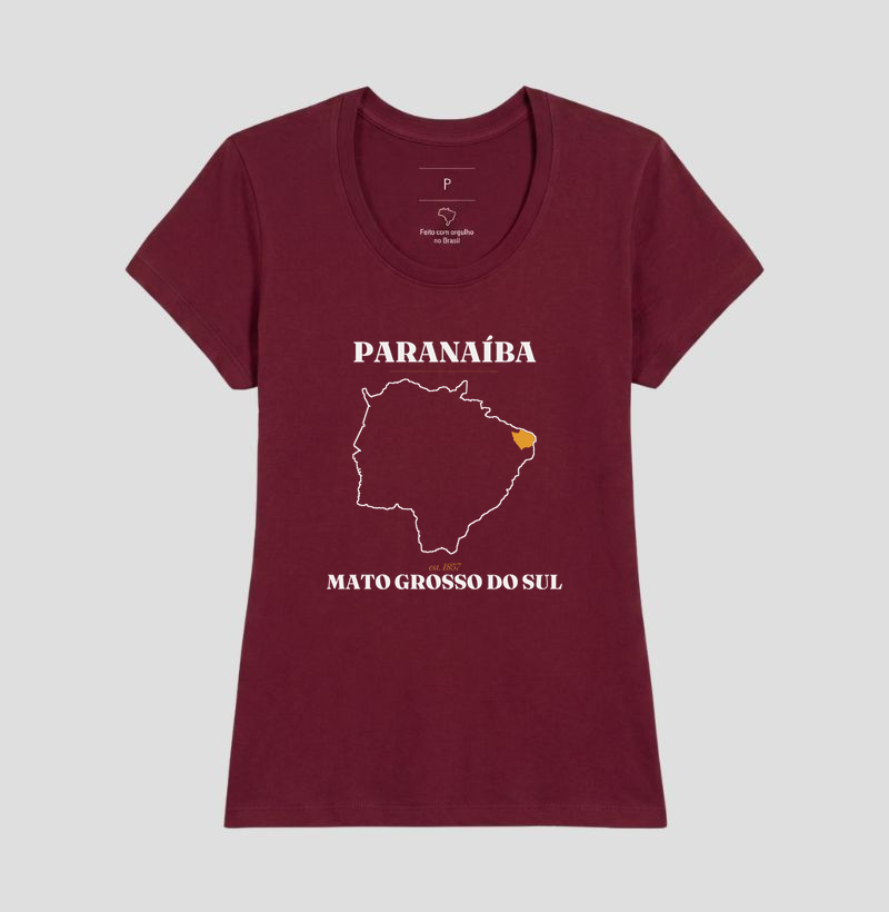 Paranaíba | Legado MS - Imagem 19
