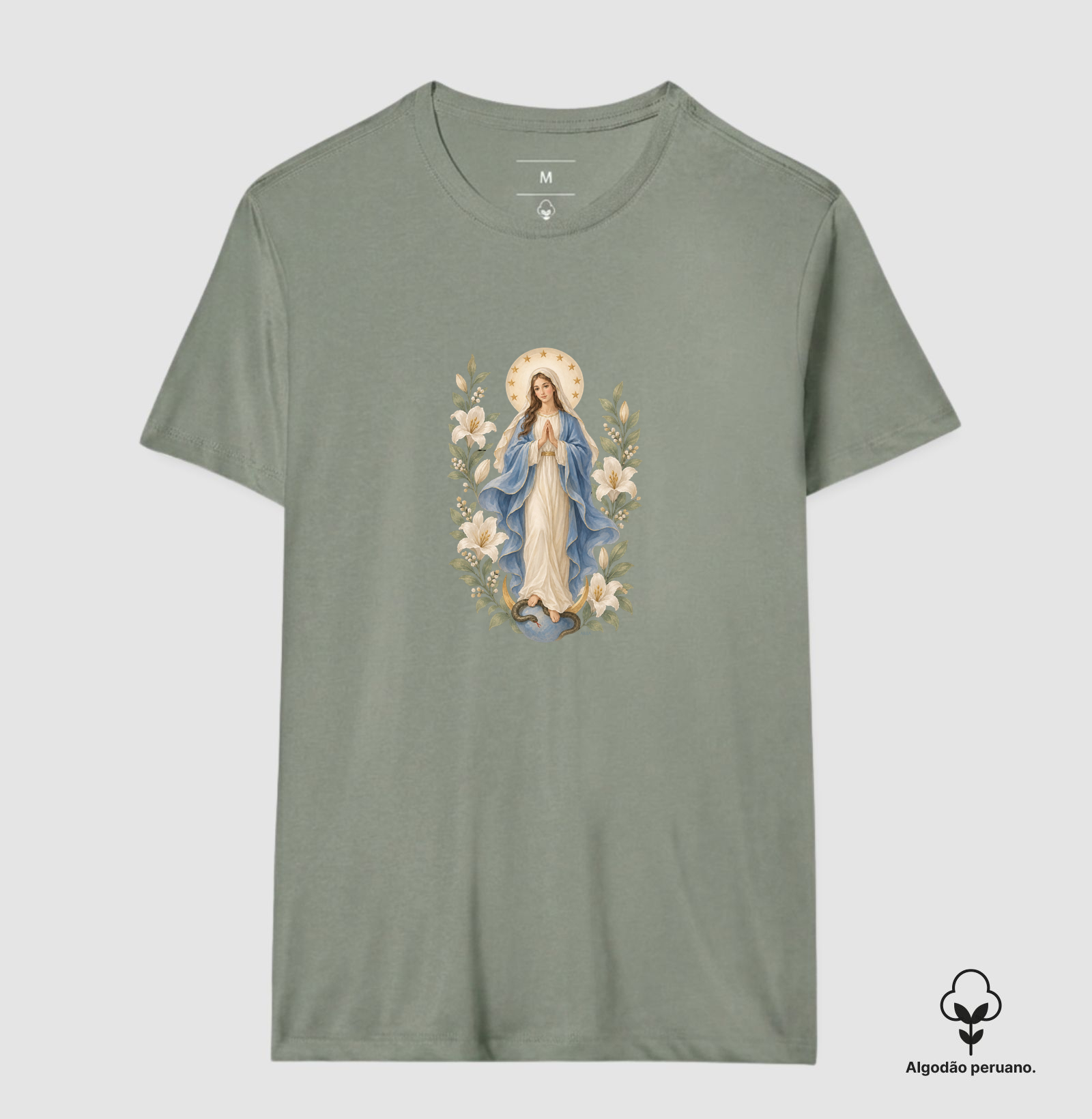 Nossa Senhora da Imaculada Conceição  - Imagem 8
