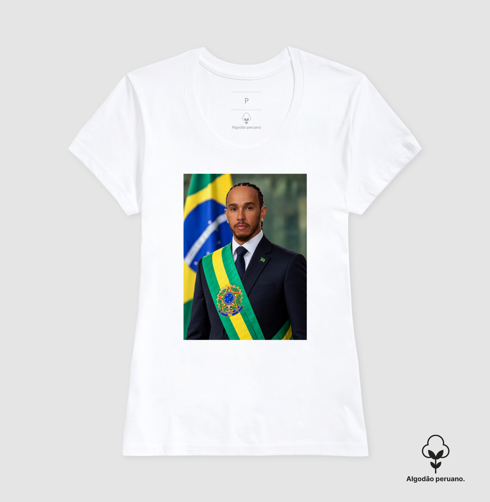 Hamilton Presidente - Imagem 8