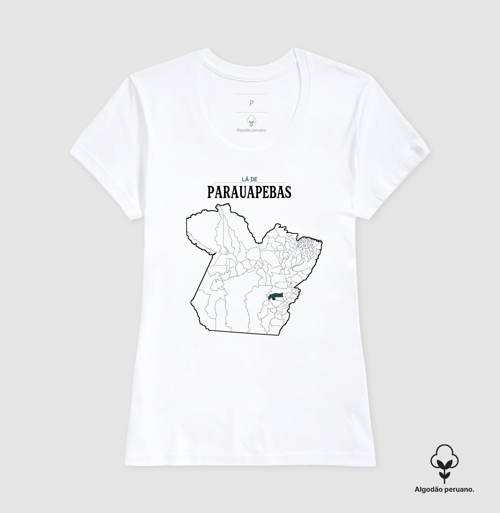 Parauapebas | Território PA - Imagem 8