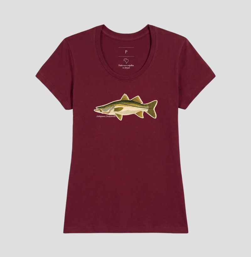 Robalo - Imagem 14