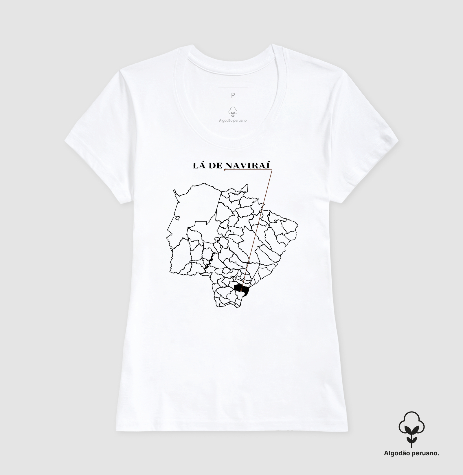 Naviraí | Origem MS - Imagem 4