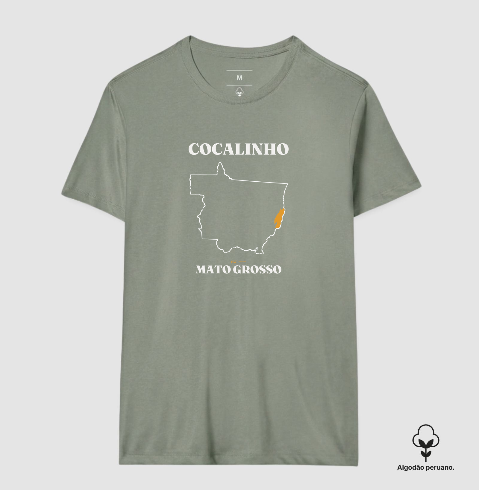 Cocalinho | Legado MT - Imagem 3
