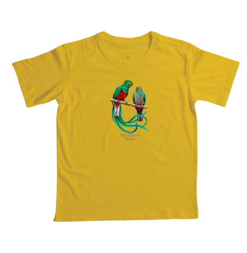 Traços Alados - Quetzal-resplandescente - Infantil - Imagem 7