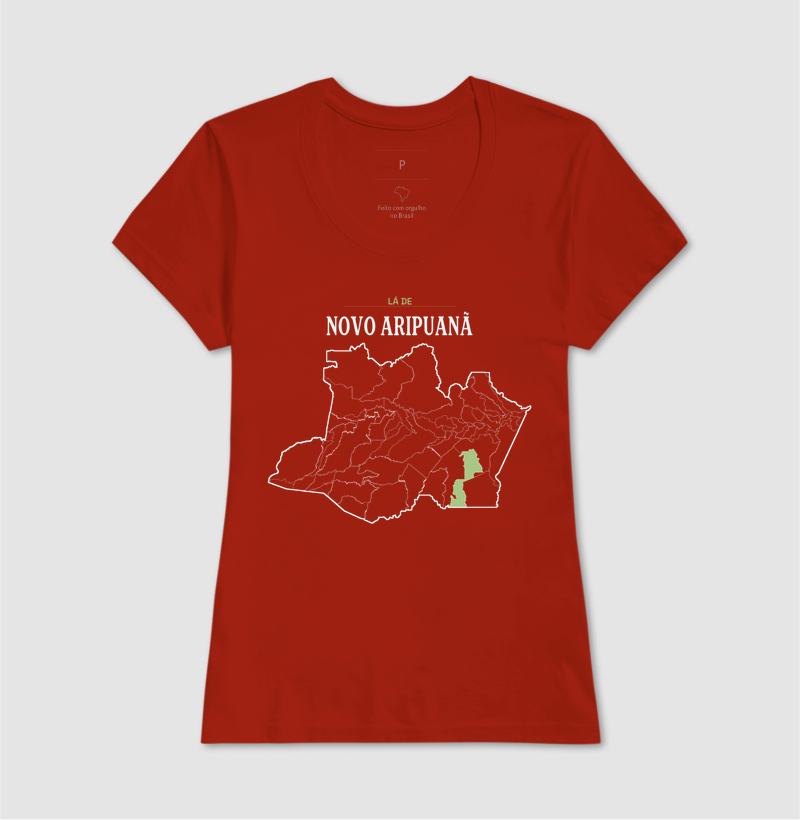 Novo Aripuanã | Território AM - Imagem 11