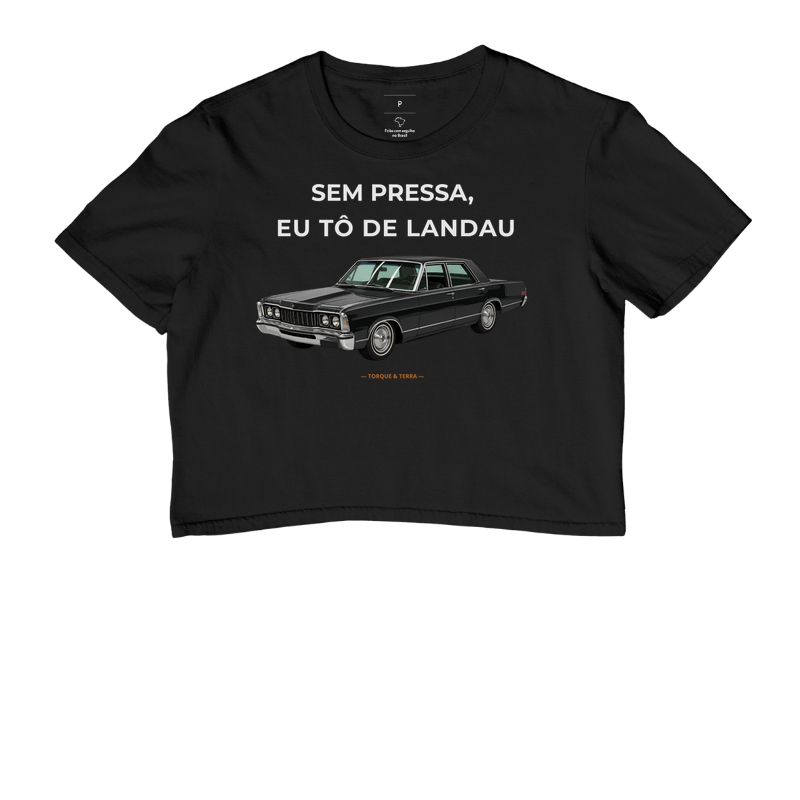 Sem pressa, eu tô de Landau - Imagem 2