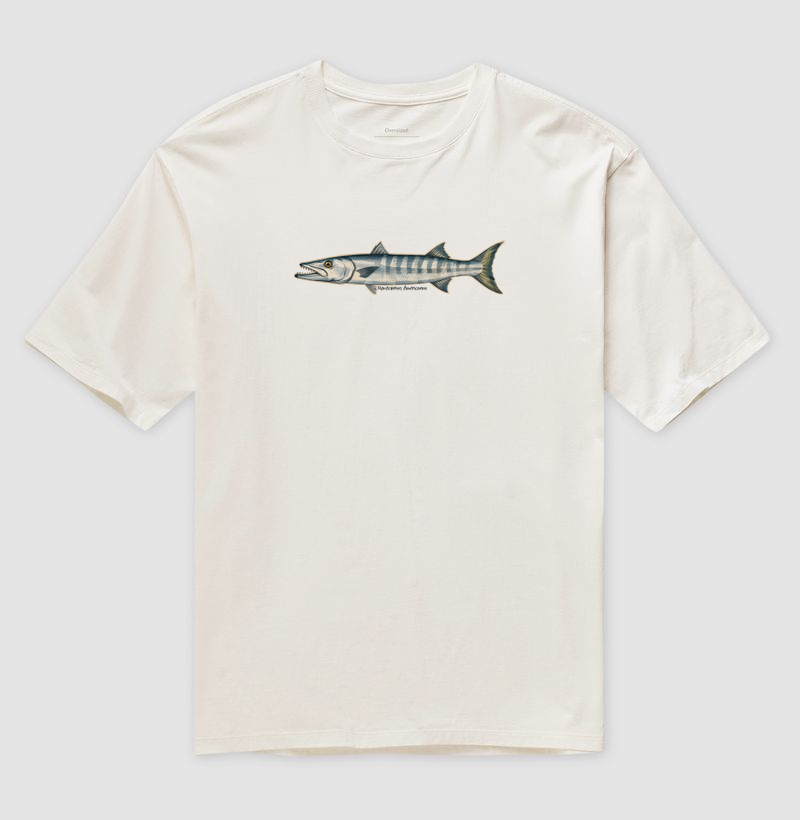 Barracuda - Imagem 4