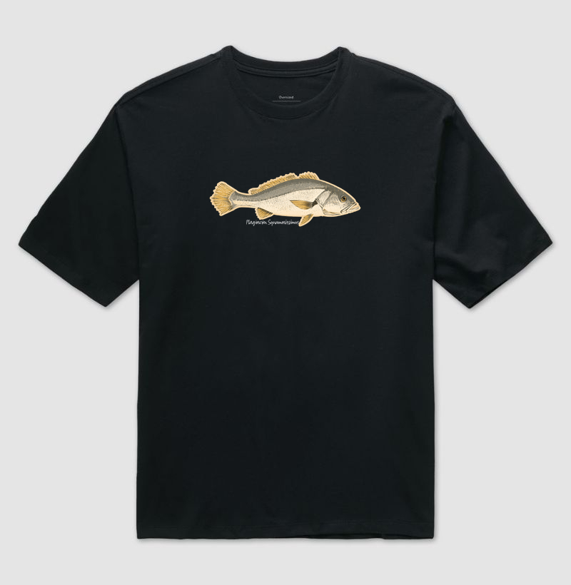 🎣 Corvina 🐟 - Imagem 2