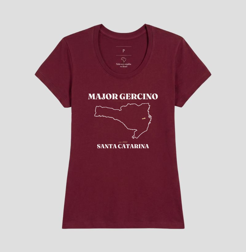 Major Gercino | Legado SC - Imagem 19