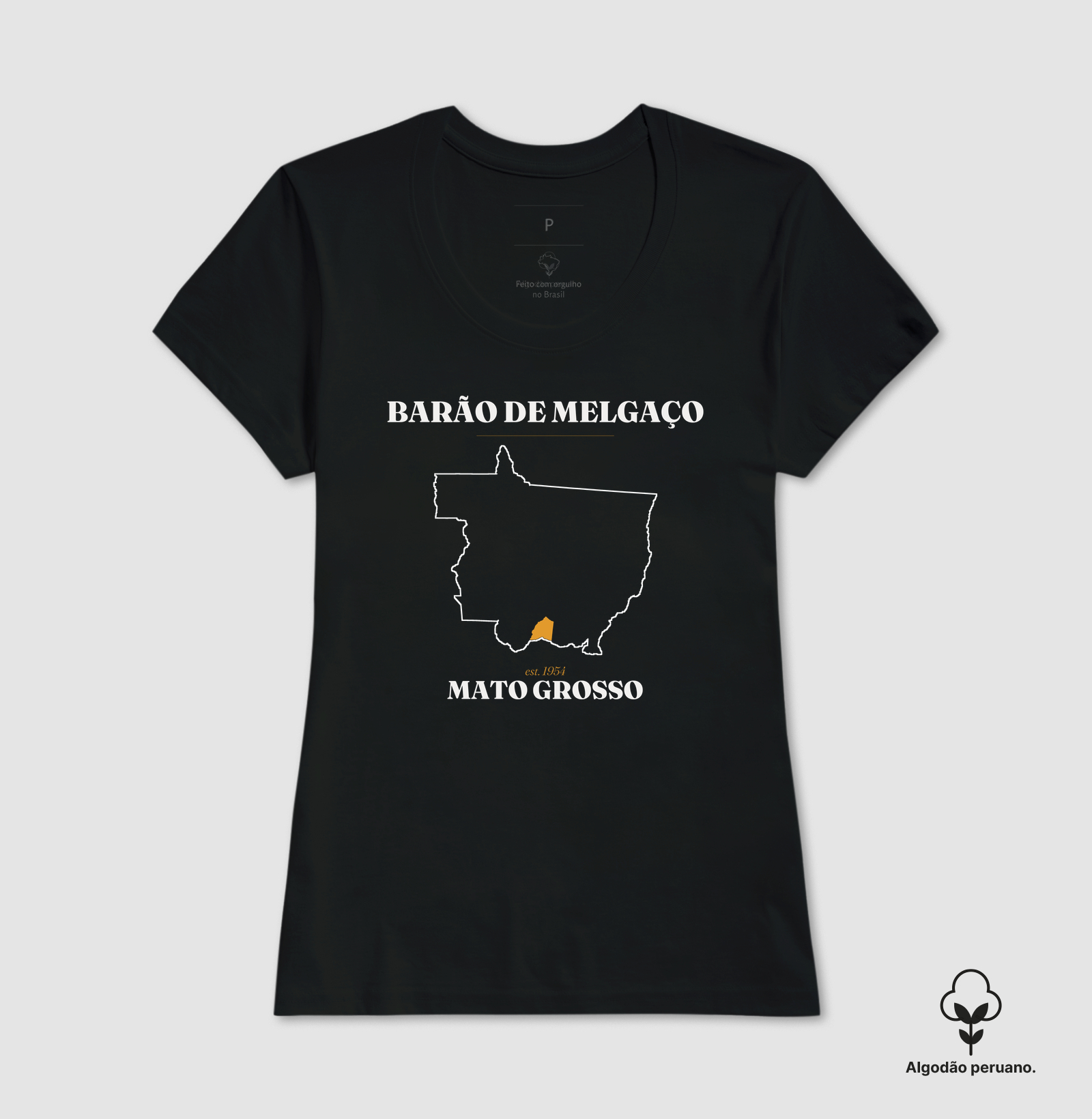Barão de Melgaço | Legado MT - Imagem 5