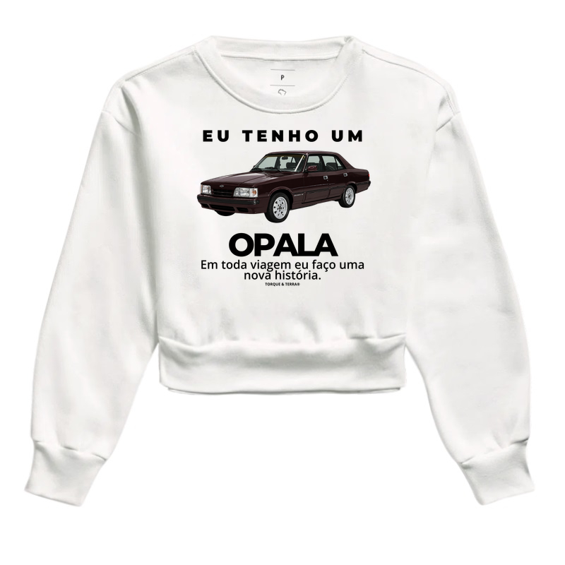 Eu tenho um Opala Diplomata vinho - Imagem 3