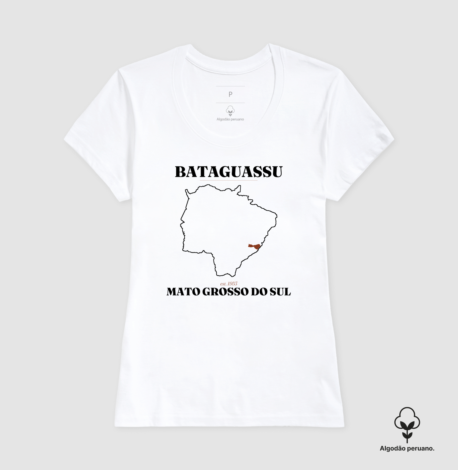 Bataguassu | Legado MS - Imagem 8