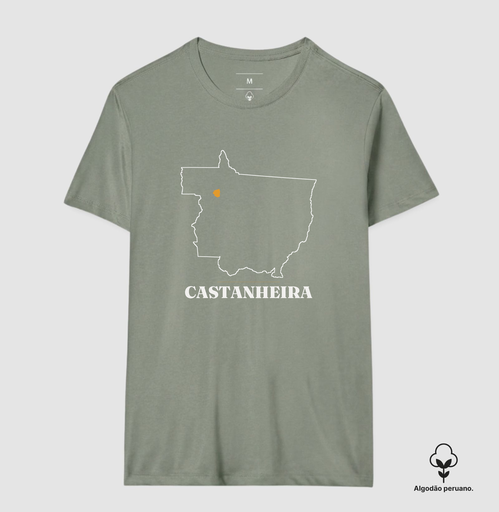 Castanheira | Traço MT - Imagem 5