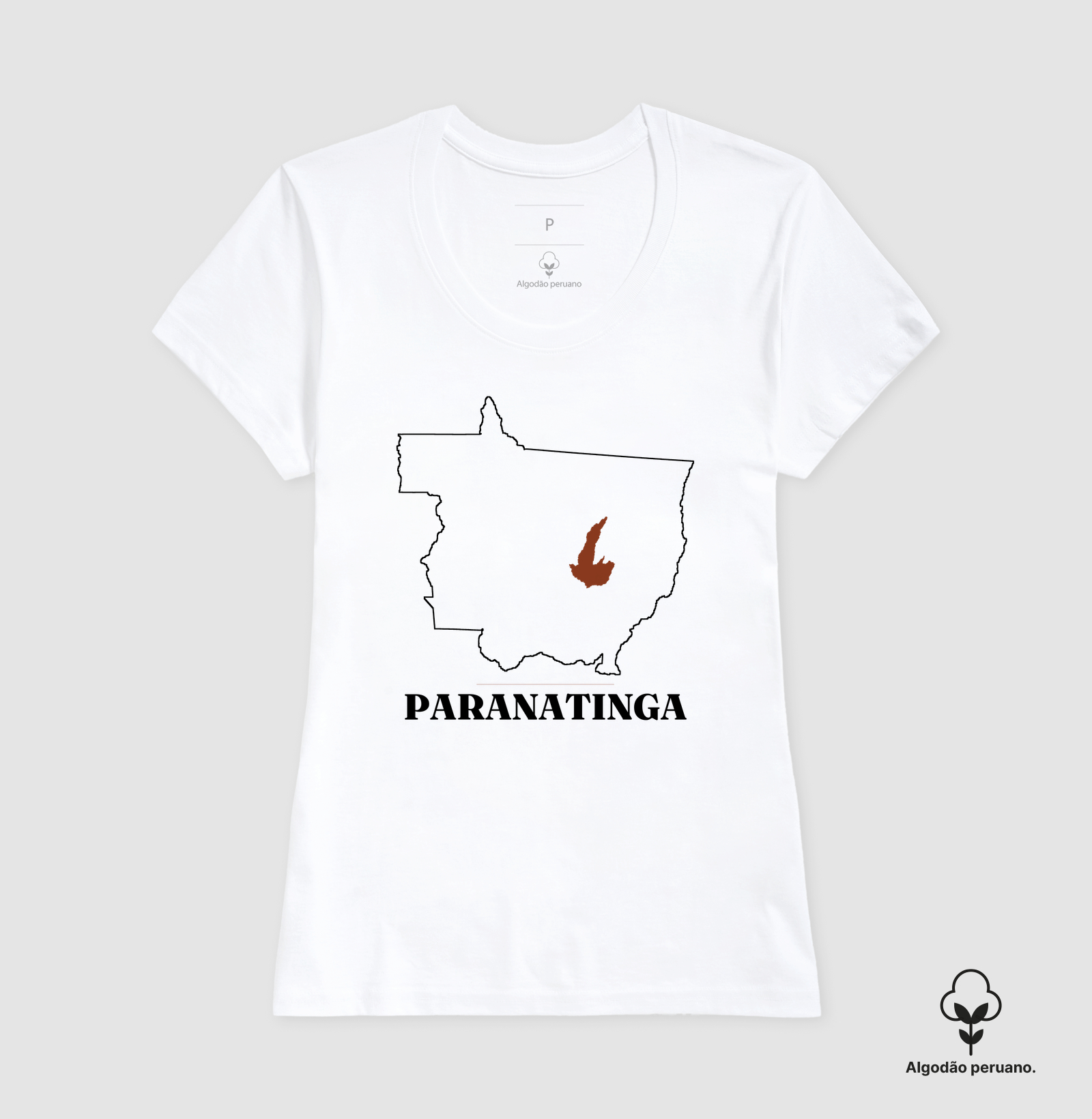 Paranatinga | Traço MT - Imagem 8