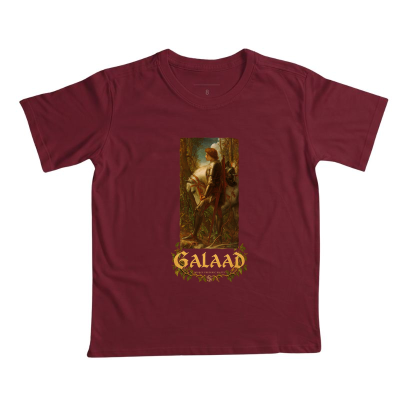 Galaad — O cavaleiro do Graal — Infantil - Imagem 4